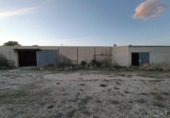1100m² warehouse industrial for sale in la Sénia, TP-3311 photo