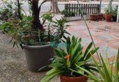42m² commercial premises for sale in Castelldefels, Avinguda de Castelldefels photo