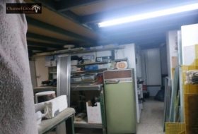 Foto 12