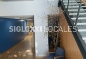 633m² offices for sale, assignment in Barcelona, in the area of the Fort Pienc, Carrer de Casp photo