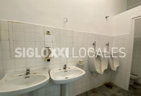Foto 19