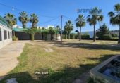 Restaurante en alquiler con 500m² en Puente Genil foto