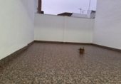 Local comercial
en venda
amb 126m² a Torredonjimeno foto