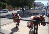 Local comercial en venta con 62m² en Mijas foto