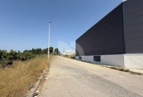 Foto 10