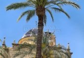 Oficina en venta con 90m² en Orihuela foto