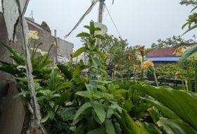 Foto 14