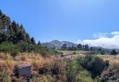 360m² hotel for sale in El Tanque, Avenida Venezuela photo