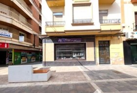 Foto 12