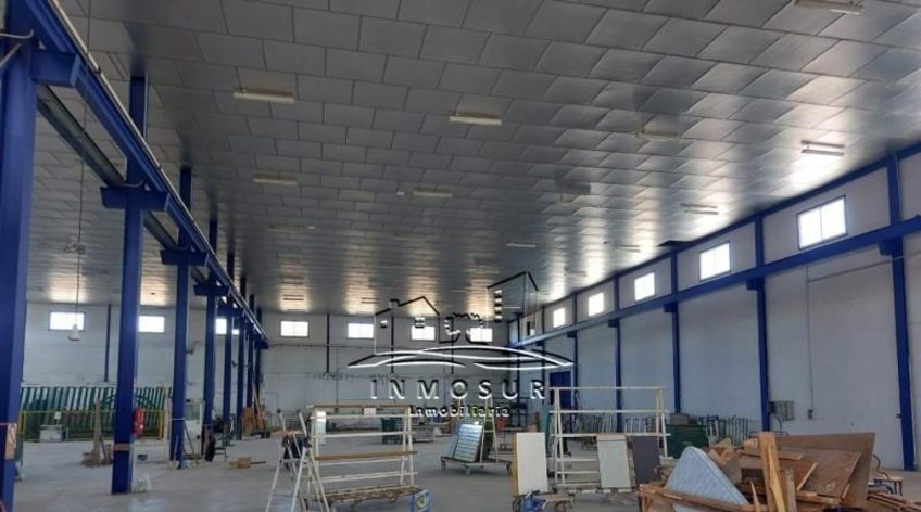 Nave