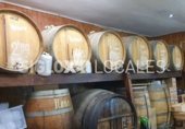 Bar en alquiler con 185m² en Barcelona, en la zona de Sant Pere, Santa Caterina i la Ribera, Carrer de Sant Pere Més Baix foto