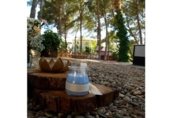 523m² restaurant pour location, cession à Lérida, Camí de Butsènit photo