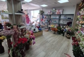 Foto 8