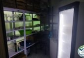 60m² commercial premises for sale in Roses, Pista Carretera de les Arenes photo