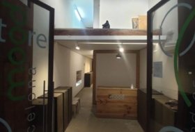 Foto 12