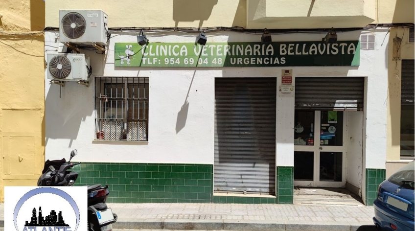 Local comercial