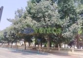 Local comercial en venta con 105m² en Lorca, avenida fuerzas armadas foto