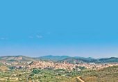 1286m² hôtel pour vente à Elche de la Sierra photo