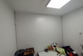 Foto 15