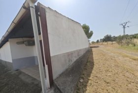 Foto 19