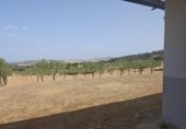 Nave Industrial en venta con 400m² en Serradilla, Calle del Horno foto