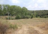 600m² warehouse industrial for sale in Asín, Calle Fernando El Católico photo