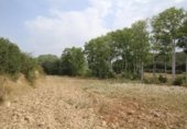 600m² warehouse industrial for sale in Asín, Calle Fernando El Católico photo