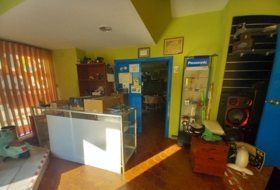 Foto 6