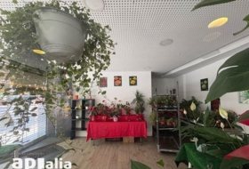 Foto 15