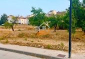214m² building for sale in Vélez-Rubio photo