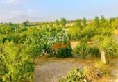214m² building for sale in Vélez-Rubio photo