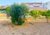 214m² building for sale in Vélez-Rubio photo