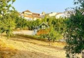 214m² building for sale in Vélez-Rubio photo