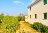 214m² building for sale in Vélez-Rubio photo