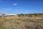 1870m² entrepôt industriel pour vente à Cartaya photo