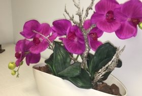 Foto 7
