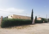 Bar en venta con 900m² en Lorca, Carretera Pulpi foto