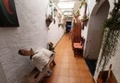 Restaurante en venta con 162m² en Calella, Carrer Sant Antoni foto