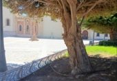 Edificio en venta con 330m² en Lorca, Calle Bodegones foto