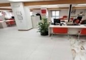 Oficina en venta con 424m² en Valladolid, en la zona de Campo Grande, Paseo de Zorrilla foto