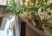 600m² building for sale in Orihuela, Calle del Río photo