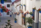 250m² building for sale in Estepona photo