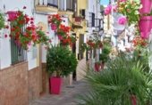 250m² building for sale in Estepona photo