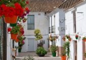 250m² building for sale in Estepona photo