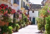 250m² building for sale in Estepona photo