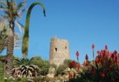 250m² building for sale in Estepona photo