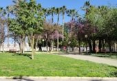 Oficina
en lloguer
amb 18m² a Múrcia, a la zona de Santa María de Gràcia, CALLE CATEDRATICO FERNANDO PIÑUELA 10 B foto