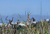 Local comercial en venta con 570m² en Santa María de Guía de Gran Canaria, Diseminado del Palmital foto