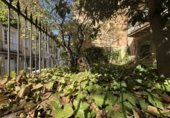 160m² offices for rent in Valladolid, in the area of University photo