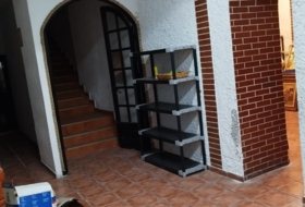 Foto 9